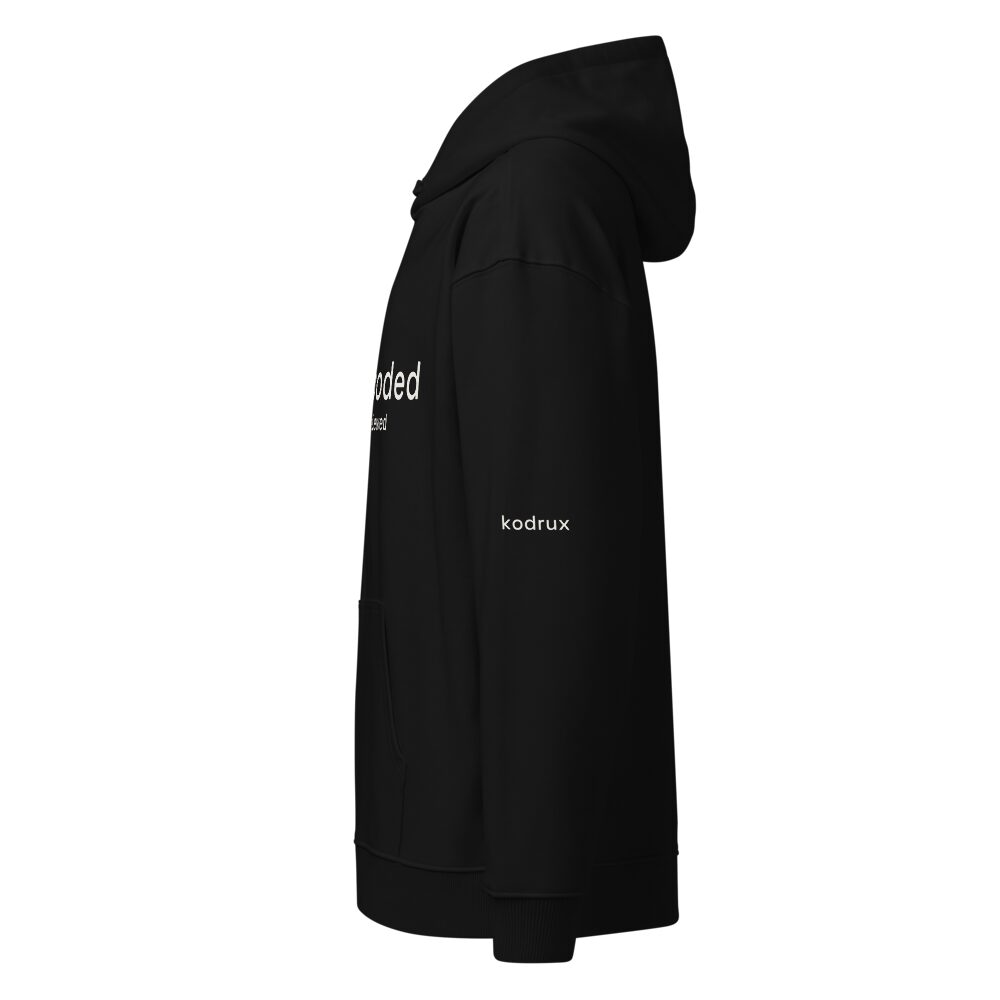 vibe coded // human reviewed hoodie - Kodrux